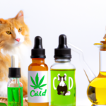 Czy olejek CBD może być stosowany w leczeniu zwierząt?